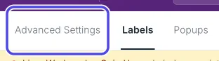 The three tabs at the top of the Customize page: Advanced Settings, Labels and Popups. Advanced Settings is circled.