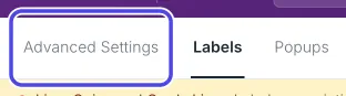 The three tabs at the top of the Customize page: Advanced Settings, Labels and Popups. Advanced Settings is circled.