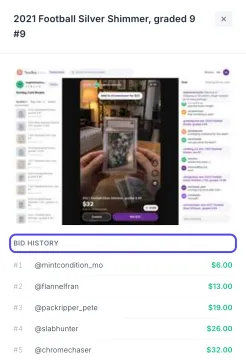 The item panel on the right side of the window with the auction photo on top and the bid history below it, listing each bid number, bidder and amount. The Bid history heading is circled.